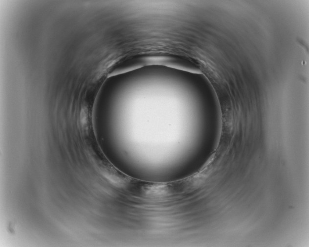 X0000099470132200805091555