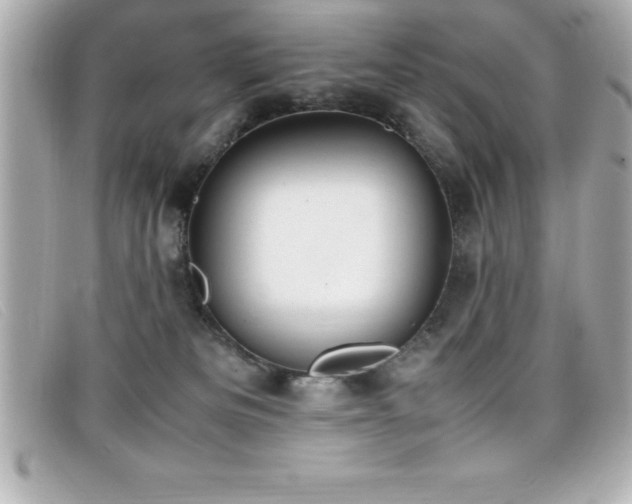 X0000099470133200805091555