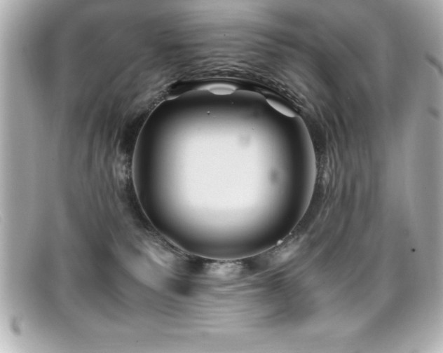 X0000099470135200805091555