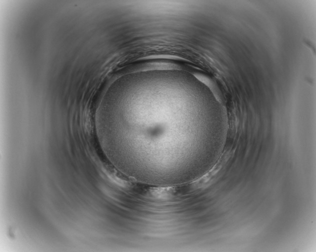 X0000099470136200805091555