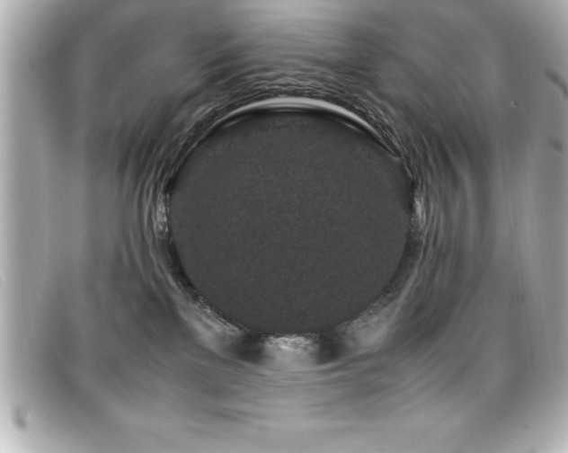 X0000099470137200805091555