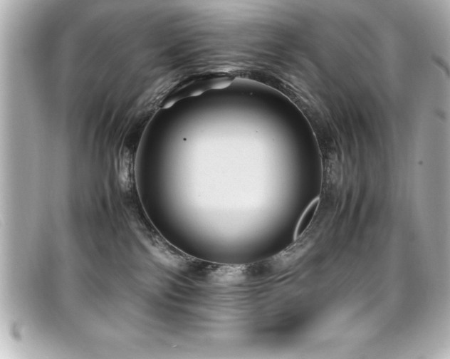 X0000099470138200805091555