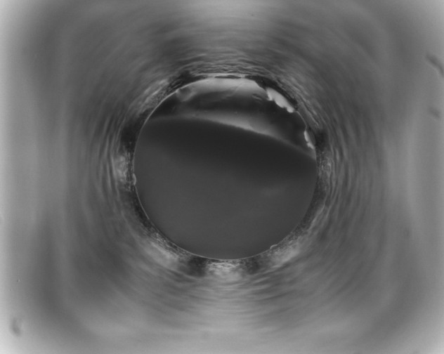 X0000099470139200805091555