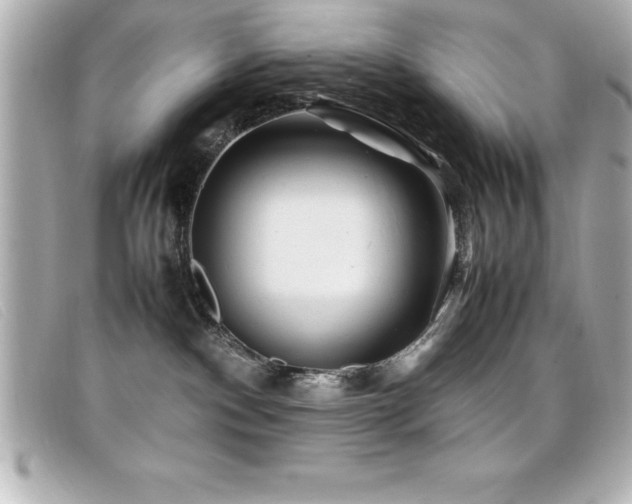 X0000099470140200805091555