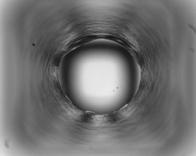 X0000099470141200805091555