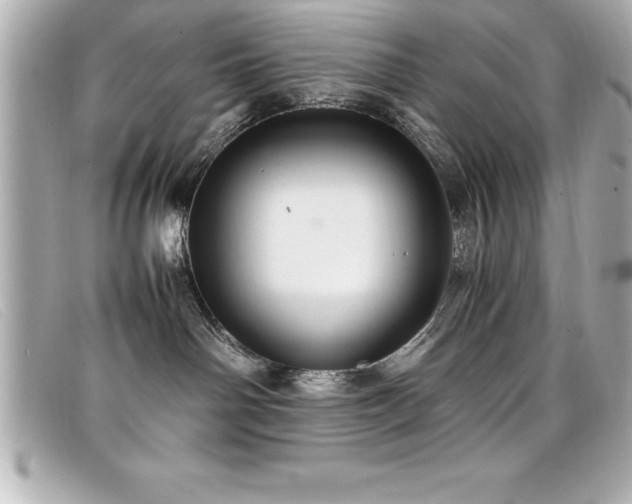 X0000099470142200805091555