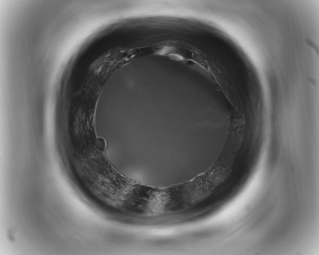 X0000099470143200805091555