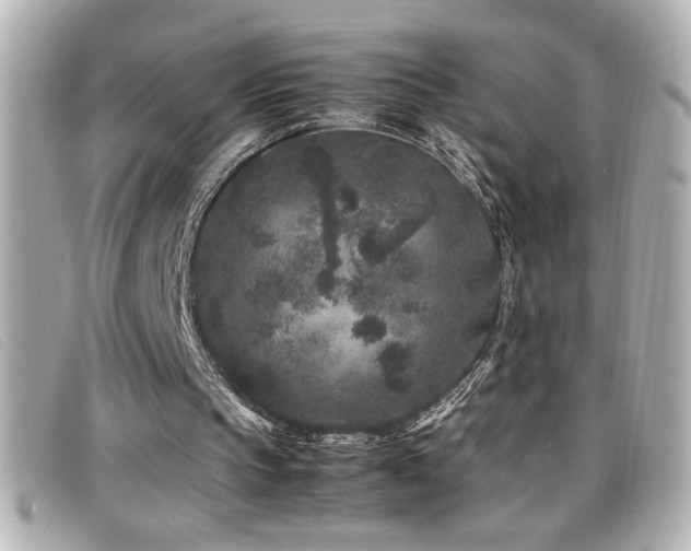 X0000099470145200805091554