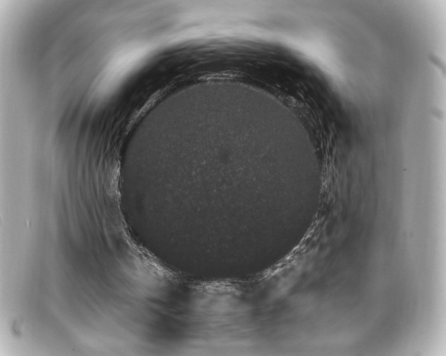 X0000099470146200805091554