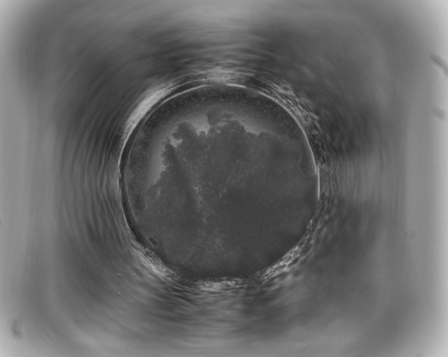 X0000099470147200805091554