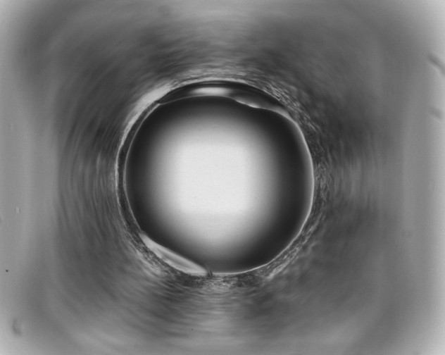 X0000099470148200805091554