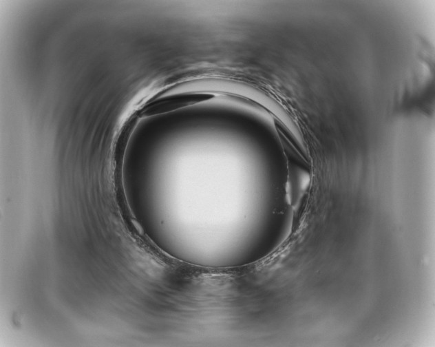 X0000099470150200805091554