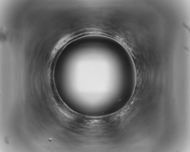 X0000099470151200805091554