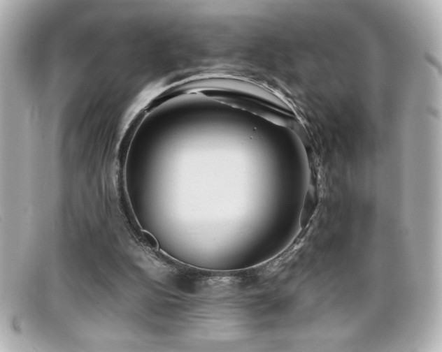 X0000099470152200805091554