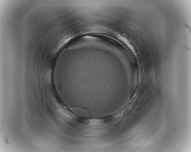 X0000099470154200805091554