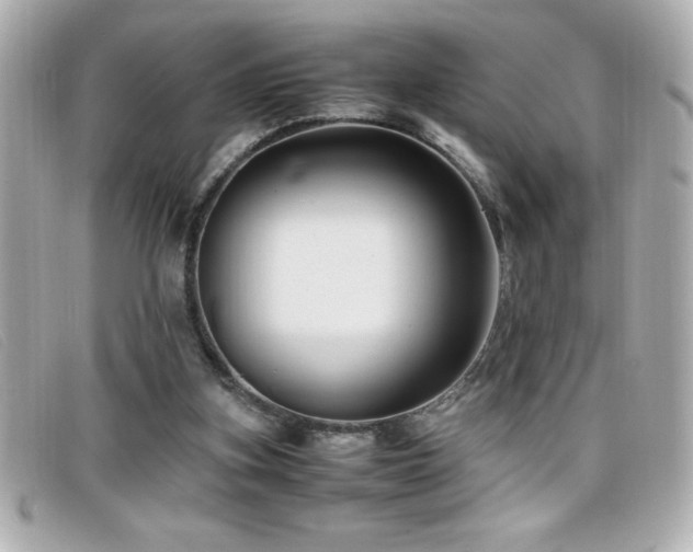 X0000099470155200805091554