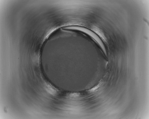 X0000099470156200805091554