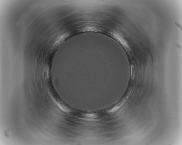 X0000099470157200805091554