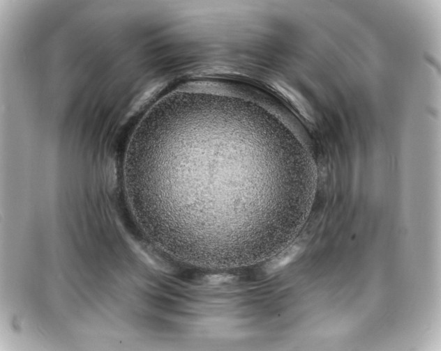X0000099470158200805091554