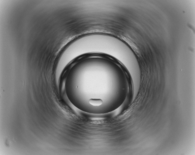 X0000099470160200805091554