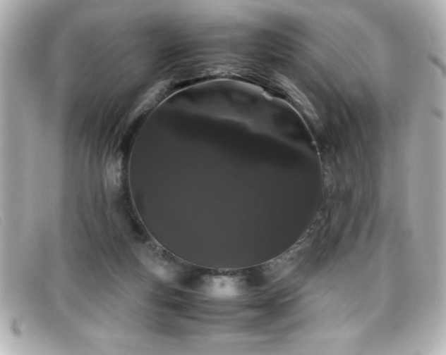 X0000099470163200805091554