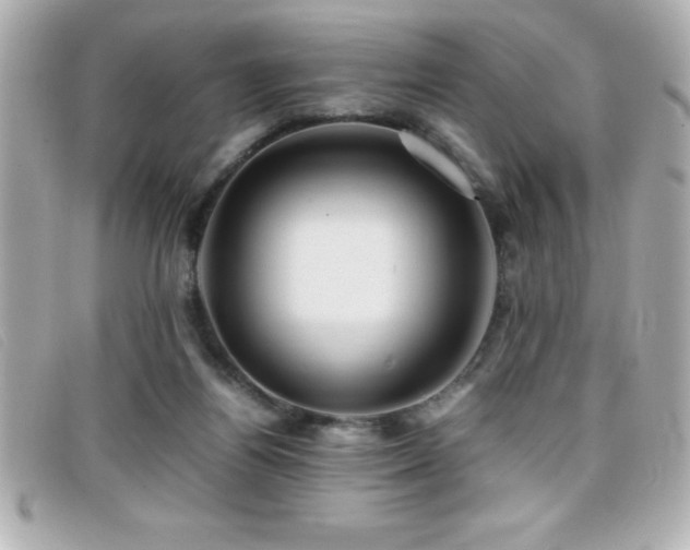 X0000099470164200805091555
