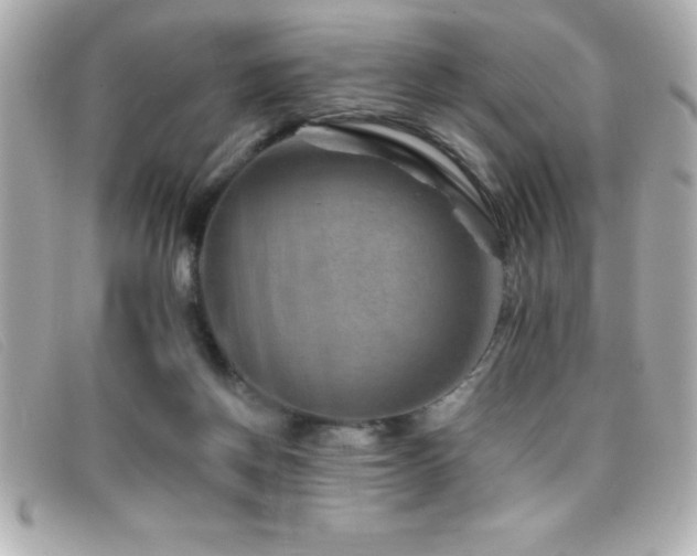 X0000099470166200805091555
