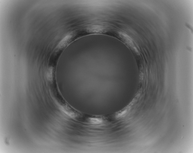 X0000099470167200805091555