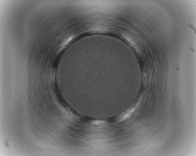 X0000099470168200805091555