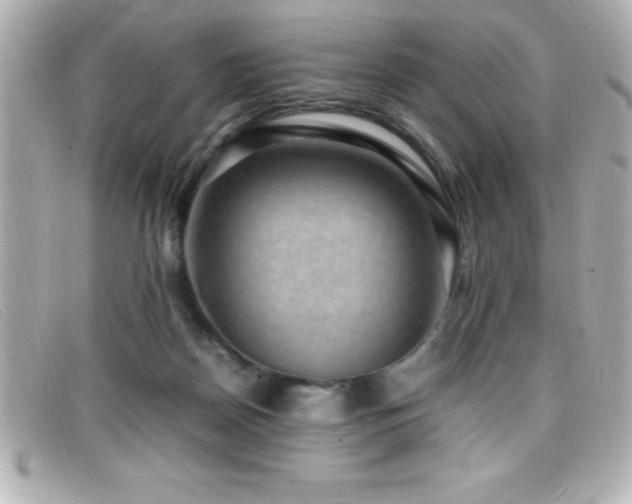 X0000099470170200805091555