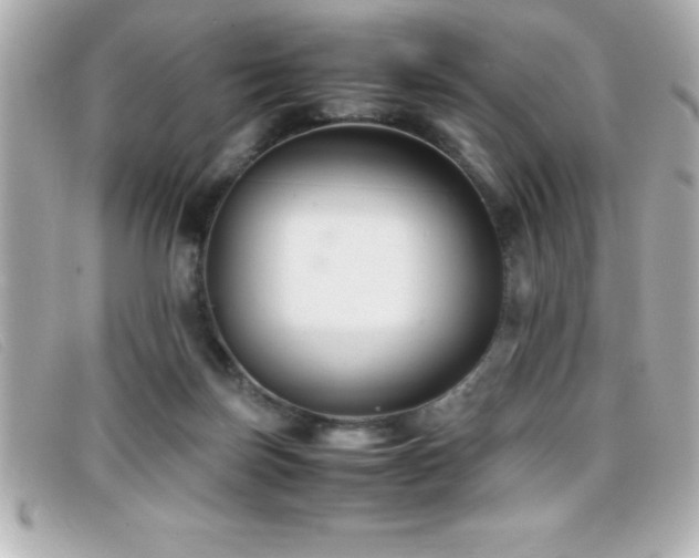 X0000099470171200805091555