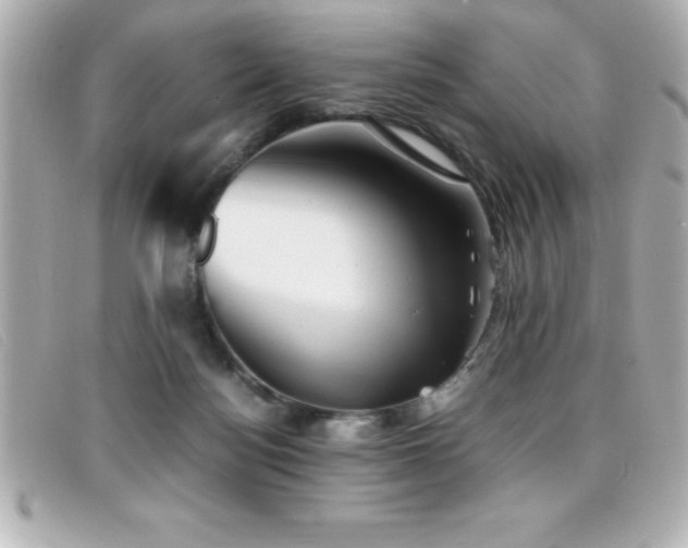 X0000099470172200805091555
