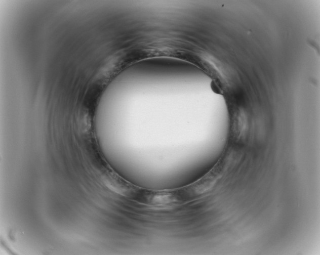 X0000099470173200805091555