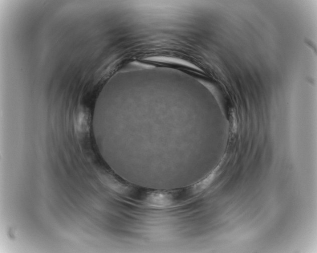 X0000099470174200805091555
