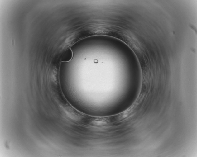 X0000099470175200805091555