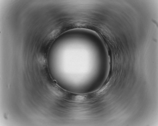 X0000099470176200805091555