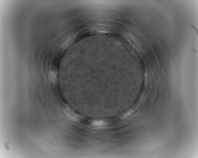 X0000099470177200805091555