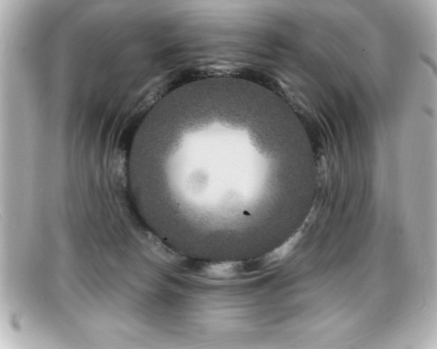 X0000099470178200805091555
