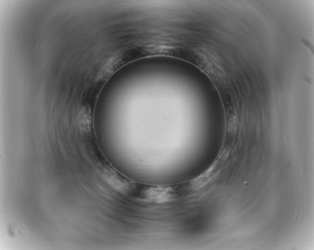 X0000099470179200805091555