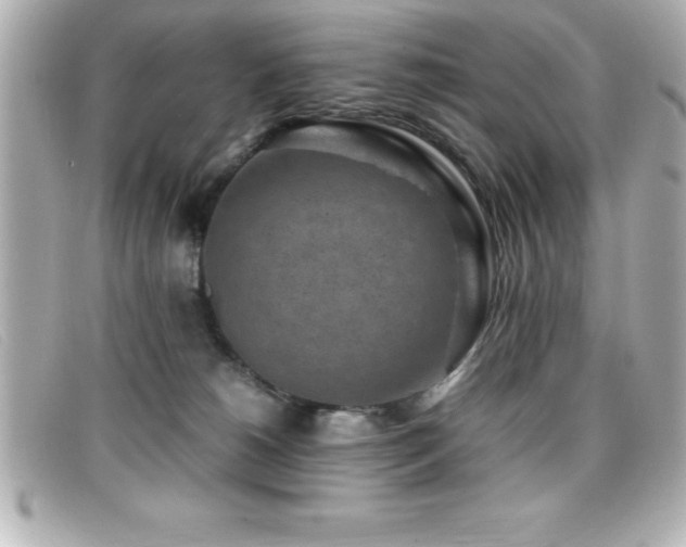 X0000099470180200805091555
