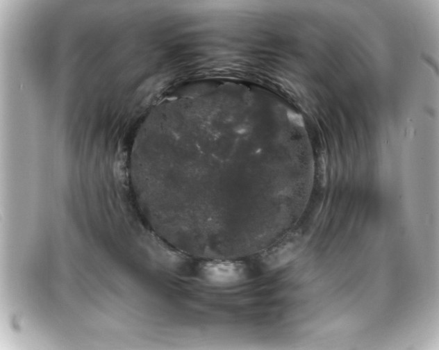 X0000099470181200805091555