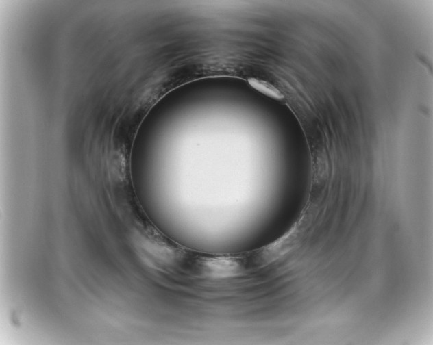 X0000099470183200805091555
