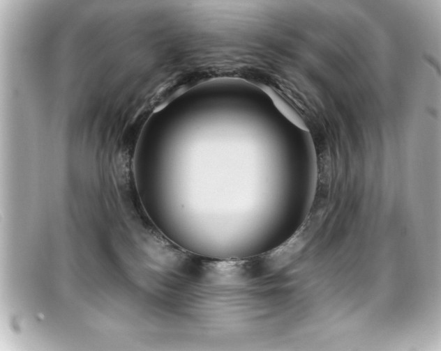 X0000099470184200805091555