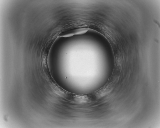 X0000099470185200805091555