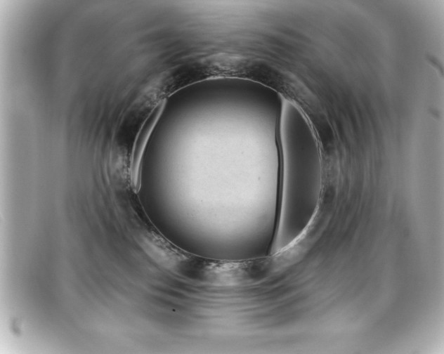 X0000099470186200805091555