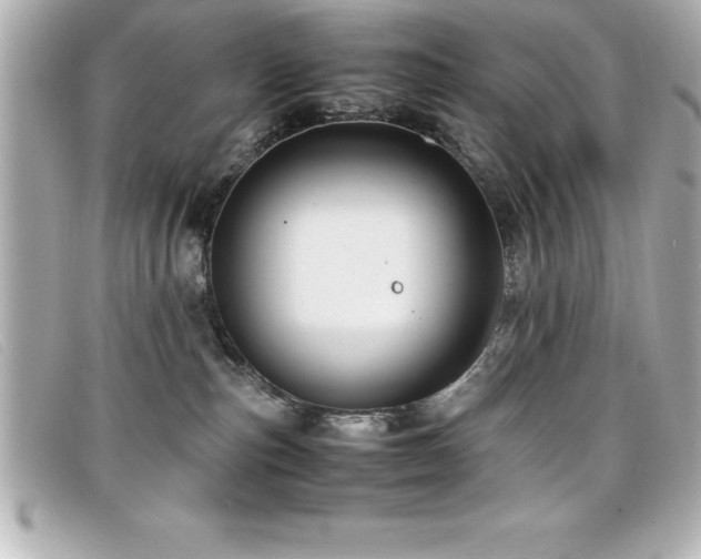 X0000099470187200805091555