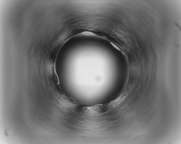 X0000099470188200805091555
