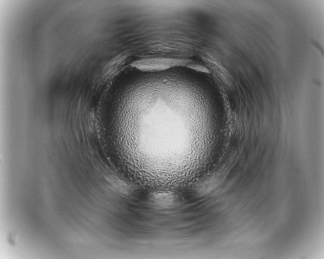 X0000099470189200805091555