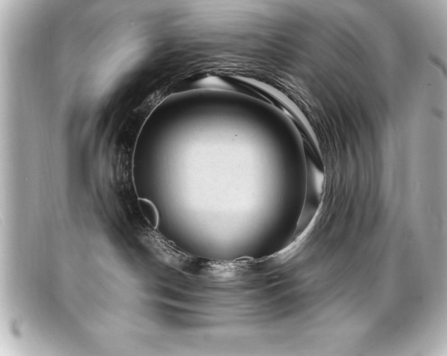 X0000099470190200805091555