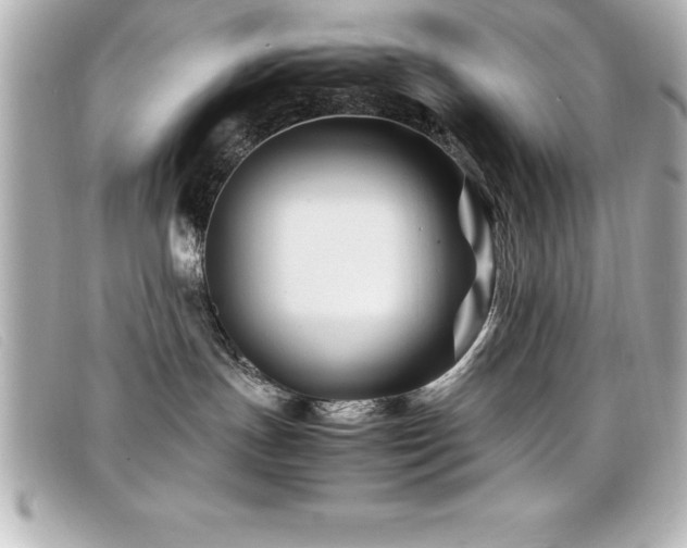 X0000099470191200805091555